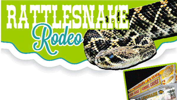 0316-rattlesnakes