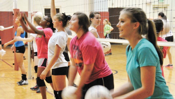 Andalusia’s varsity and junior varsity volleyball squads will be playing in Brewton at the playdate Aug. 1. | Andrew Garner/Star-News