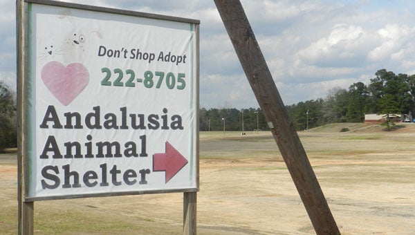 The current animal shelter sits off Hwy. 84 at a key site. 
