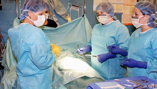 The LBWCC surgical technology program will be reinstated in the fall. |  Courtesy photo