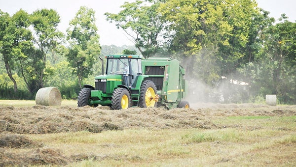 A local hay farmer said it's the height of hay farming. | Andrew Garner/Star-News