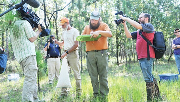 Above: Local Herpetologist Jimmy Stiles records what snake is being released as a TV crew and Auburn University students document the release in the Conecuh National Forest. | Andrew Garner/Star-News