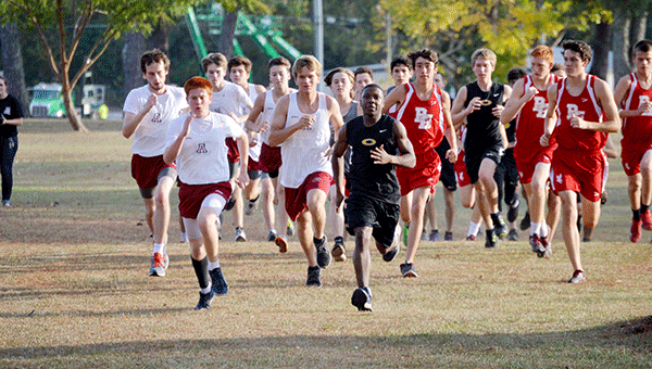 The Bulldogs had strong season in their first year with a cross-country program. Josh Dutton/Star-News