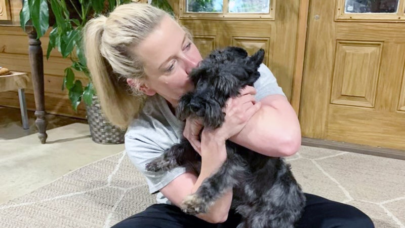 A HOLIDAY DILL-LIGHT: Morgan family dog Mr. Pickles found safe in